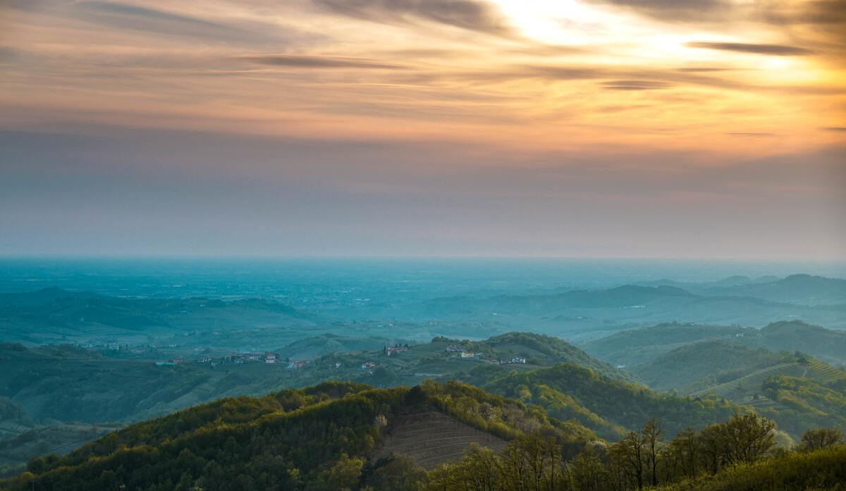 柑橘家族有点疯狂